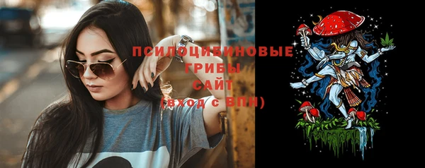 ешки Алзамай