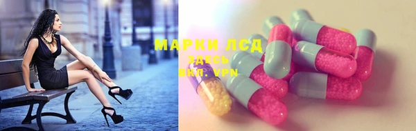 гидра Алексин