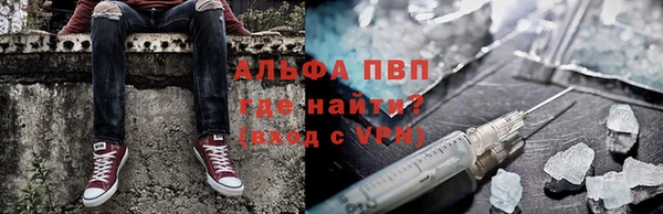 гидра Алексин