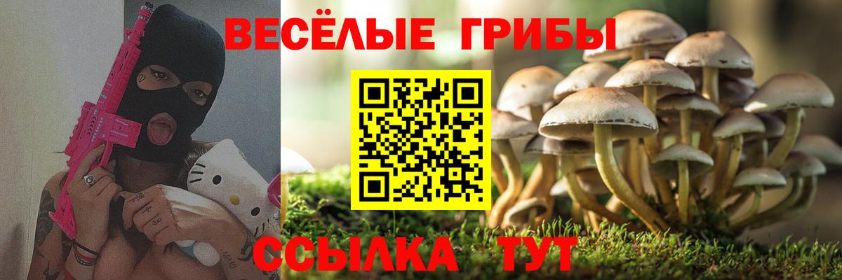 Галлюциногенные грибы Cubensis Анжеро-Судженск